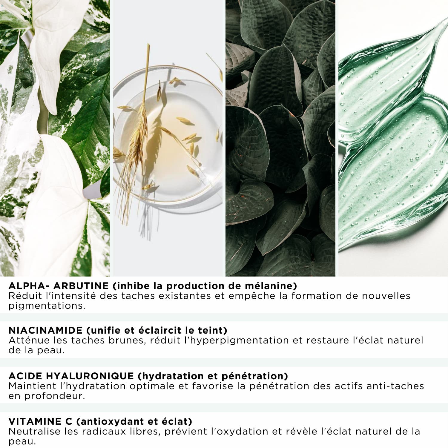 DarkSpot™ – Soin Expert Anti-Taches